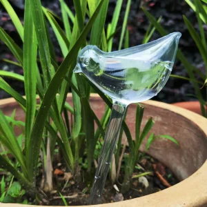 Songbird Self-Watering Plant Globes