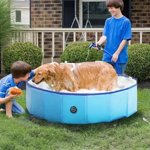 Splash Paws Foldable Dog Pool