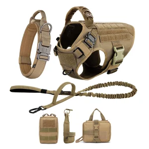 Trail Ready Dog Harness And Leash Set