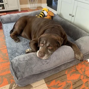 Cloud Comfort Pet Bed